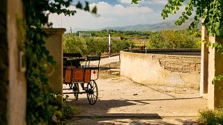 Enoturismo em Celler Mas Bella