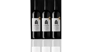 Alentejo Essence: Azamor Winery Tasting & Stories