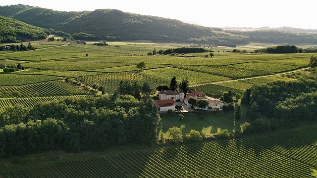 Weinprobe und Führung im Château De Gaudou