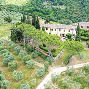 Tour del vino Bacco en Fattoria Santo Stefano