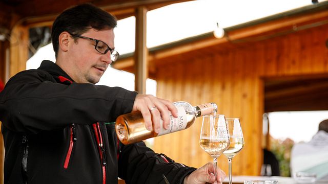 Weinprobe und Führung im Weingut Mad