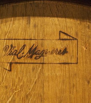 Visite et dégustation de vins au Domaine Vial Magneres