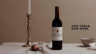Dégustation de vins et visite chez Du Toitskloof Wines