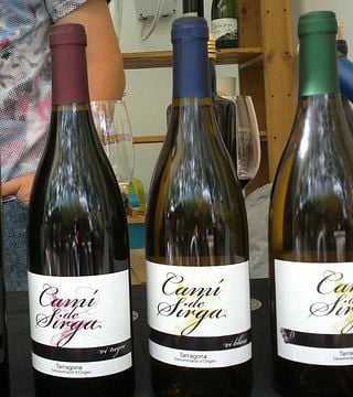 Degustação de vinhos populares e tour no Celler Pedrola
