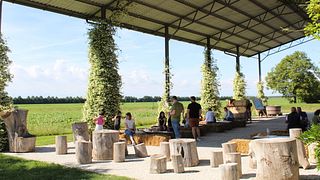 Cata de vinos y visita guiada a La Frassina