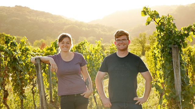 Pfalz Digital Wine Adventure at Forst Vineyards
