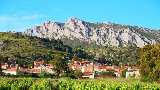 Mattina Degustazione di vini e visita al Domaine Vents du Sud 
