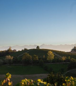 Degustação de vinhos e tour na Agricola Gian Piero Marrone