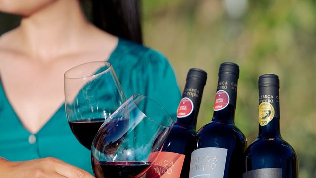 Dégustation de vins et de fromages artisanaux DOP