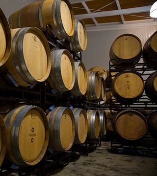 Balearic Wine & Views: Vinyes Mortitx Tasting Tour