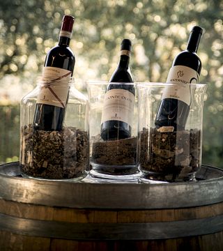 Découvrez les vins du Cru Tedeschi