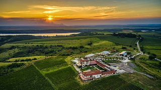 Degustação de vinhos e tour na Seven Generations Winery