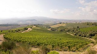 Présentation de Tokaj - Dégustation de vins et visite au Grand Tokaj