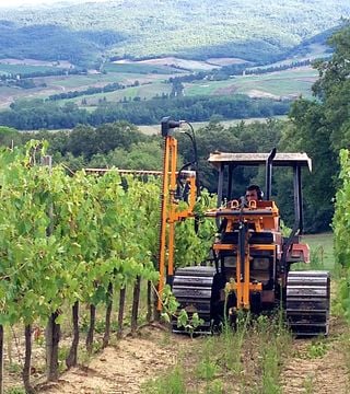 Wine Tasting and Cellar Visit at Tenuta Castelnuovo Tancredi