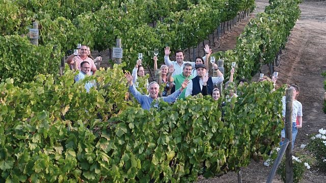 Maule Valley personalized tour: vineyards, winery, bottling line and customizeable wine tasting.  Includes a presentation of the Chilean wine landscape.