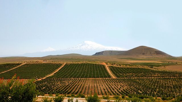 Visite et dégustation au domaine ArmAs