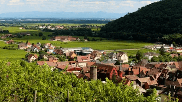 Domaine Jean-Louis Schoepfer