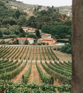 Tuscan Wine & Olive Oil Tasting at Tenuta Adamo
