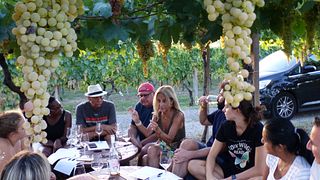 Cata de vinos premium entre hileras de viñedos | Cantina Costantini