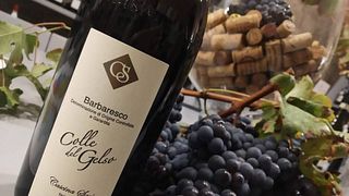 Degustação de Vinhos e Tour em Cascina Sarìa