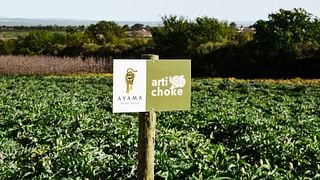 Dégustation et visite de vins haut de gamme à Slent Farms