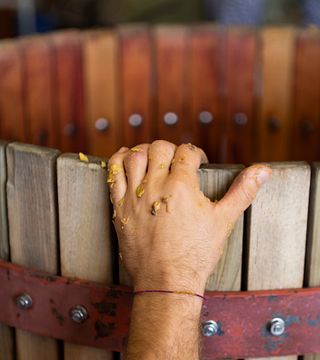 Vigneron in azienda