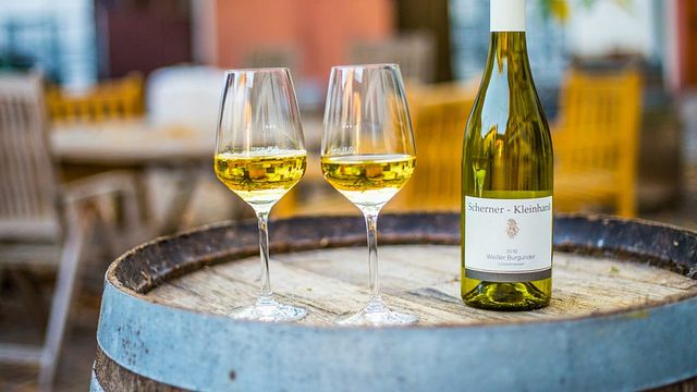 Rheinhessen Wine & Vineyard Journey at Scherner-Kleinhanss