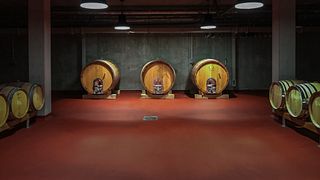 Degustazione di vini presso l'azienda vinicola Obelisk