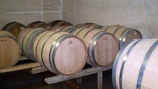 Lazio Wine & Vineyard Escape at Migrante