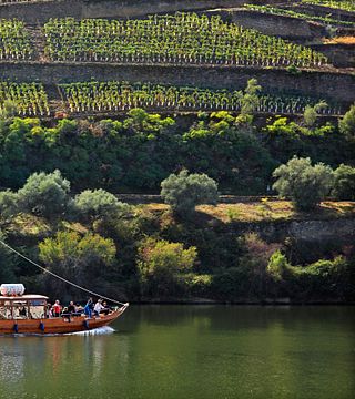 Tour privato del vino nella valle del Douro: 2 cantine, crociera a Pinhão e pranzo