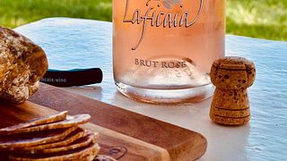 Dégustation de vins et visite à Laficaia