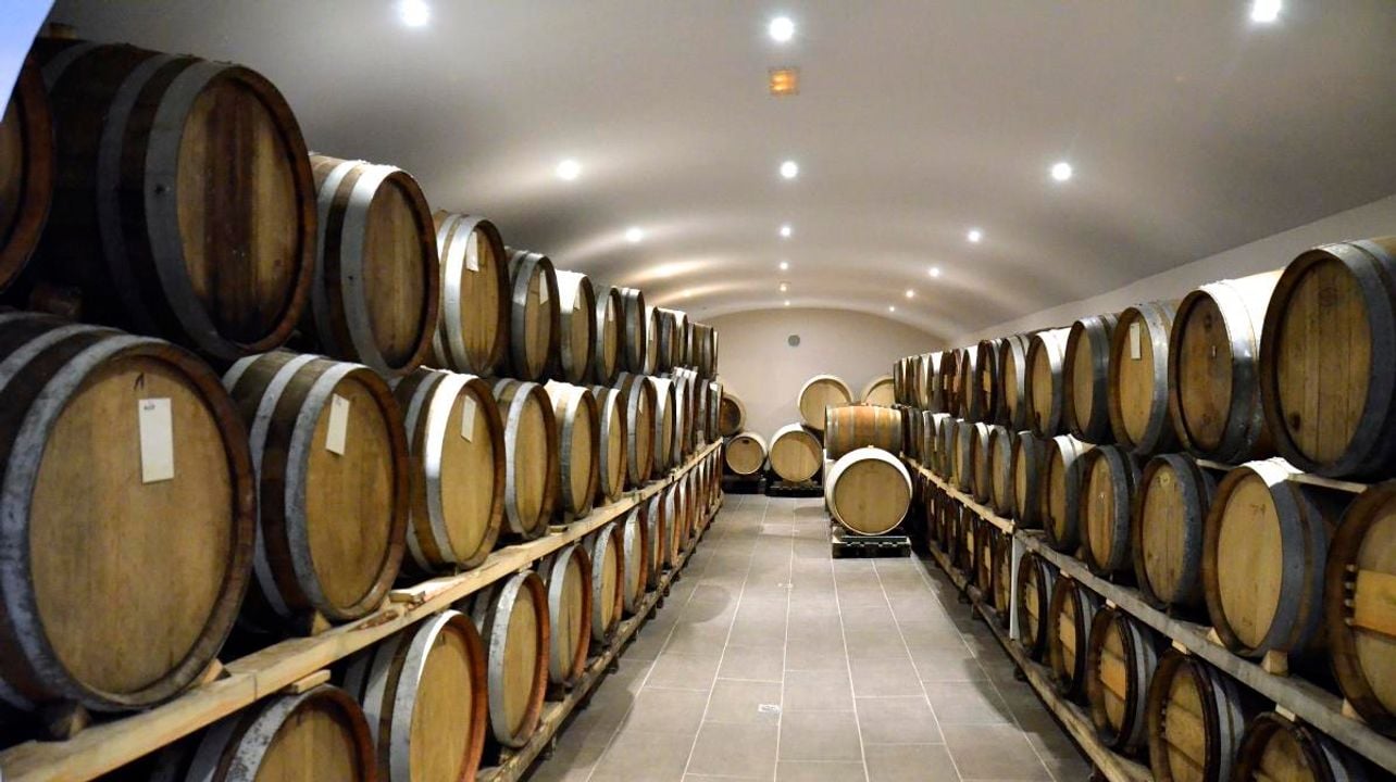 Descubra el vino: cata de vinos y visita a los viñedos de Santorini