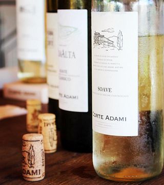 Degustazione e visita a Corte Adami