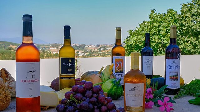 Viaggio alla scoperta dei vini Lindeborg | Quinta da Folgorosa