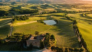 Cata de vinos y visita al Castello Tricerchi