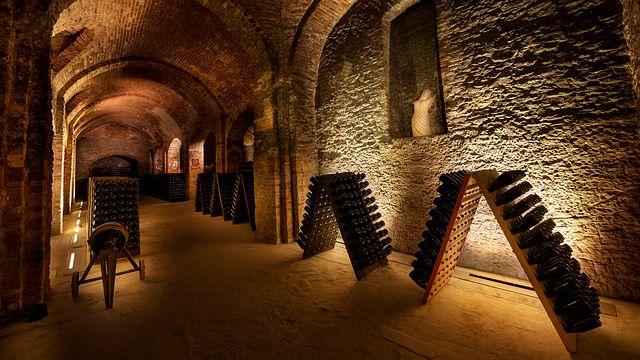 Dégustation de vins et visite à Bosca