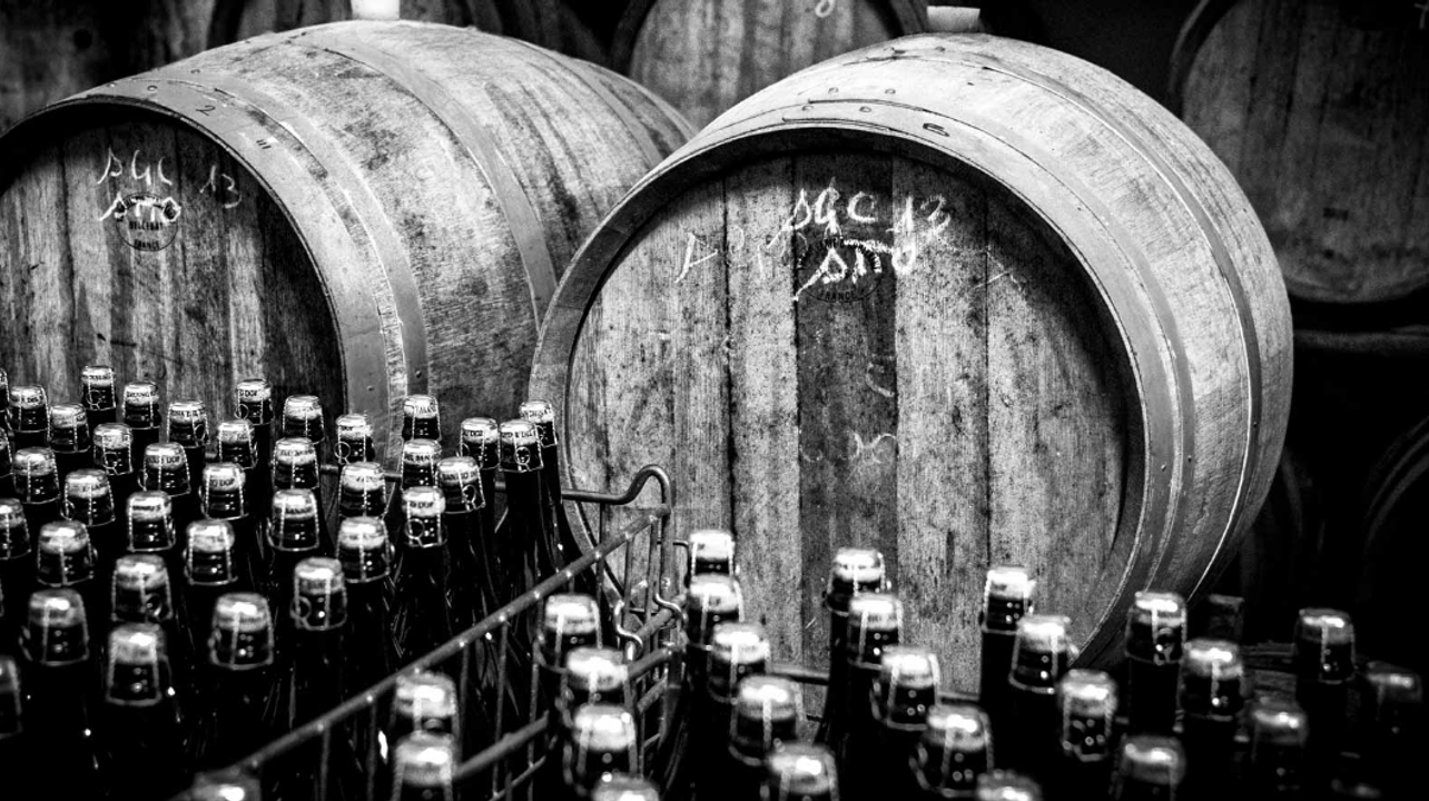 Campania Wine Journey: Tasting & Vineyard Tour