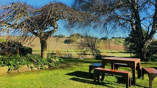 Josef Chromy Wines