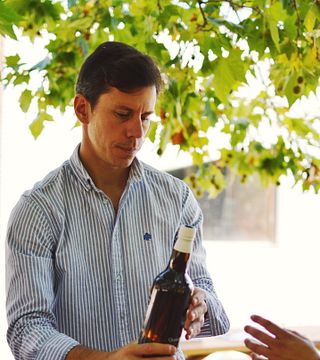 Pedro D