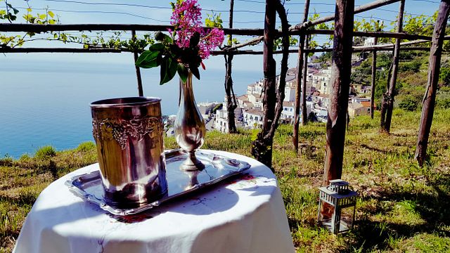 Cata de vinos y visita guiada en Le Vigne Di Raito