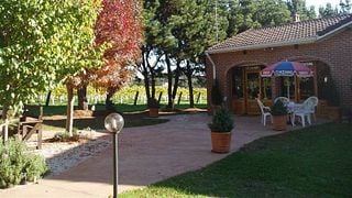 Degustazione di vini e tour presso la Sutton Forest Estate Wines