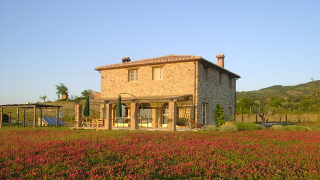 Basile Organic Wine Farm