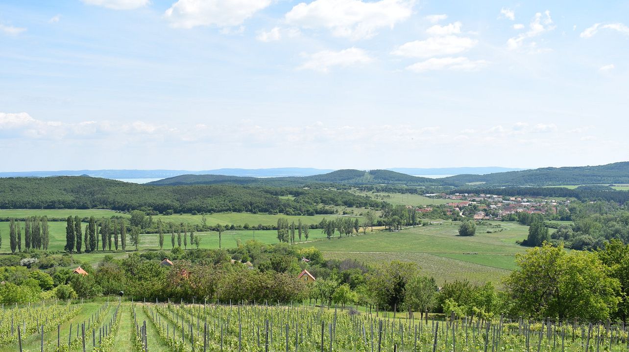 Strommer Pincészet