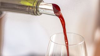 Visita e degustação de vinhos no Château Mouresse