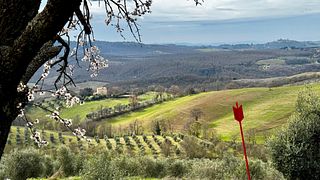 Lunchpicknick i de natursköna kullarna i Maremma Toscana