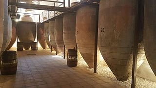 Visita a la Bodega Tradicional Navarro López y Cata de Vinos