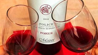 Visita e Prova de Vinhos | Roberto Mazzi e Figli