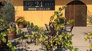 Degustazione di vini e visita presso Schmitz 24 Brix Wines