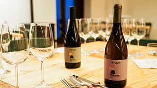 Favazza FourWine Tasting – Technical tasting of four wines