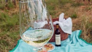 Emilia-Romagna Vineyard Picnic & Wine Delight